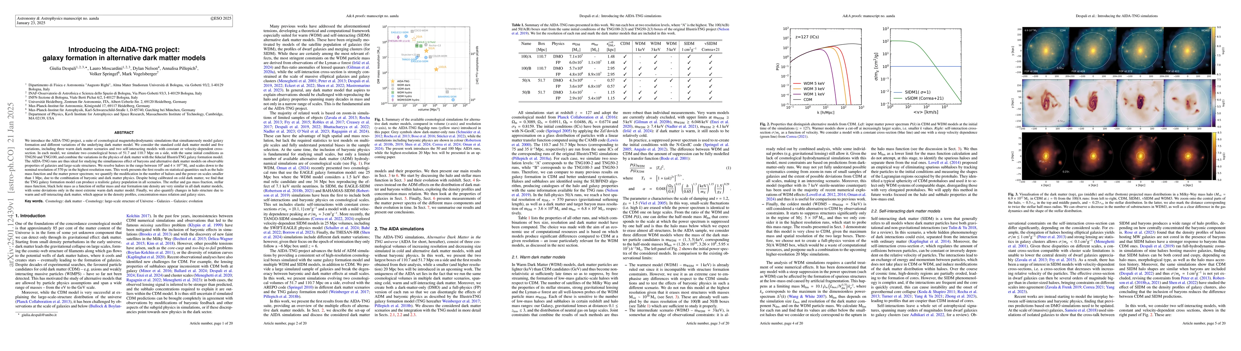 Thumbnail for Introducing the AIDA-TNG project: galaxy formation in alternative dark
  matter models