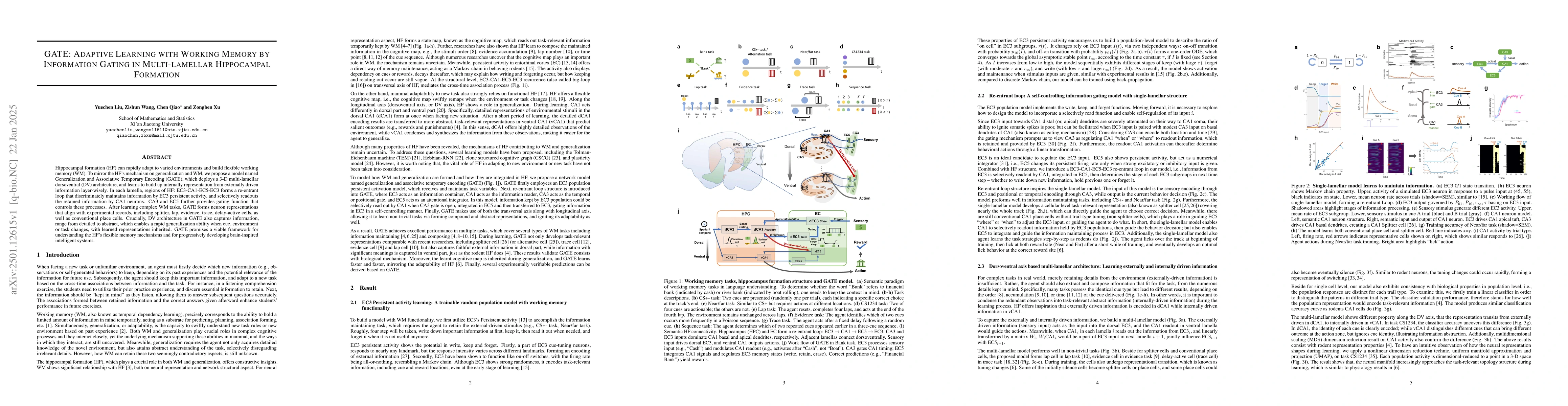 Thumbnail for GATE: Adaptive Learning with Working Memory by Information Gating in
  Multi-lamellar Hippocampal Formation