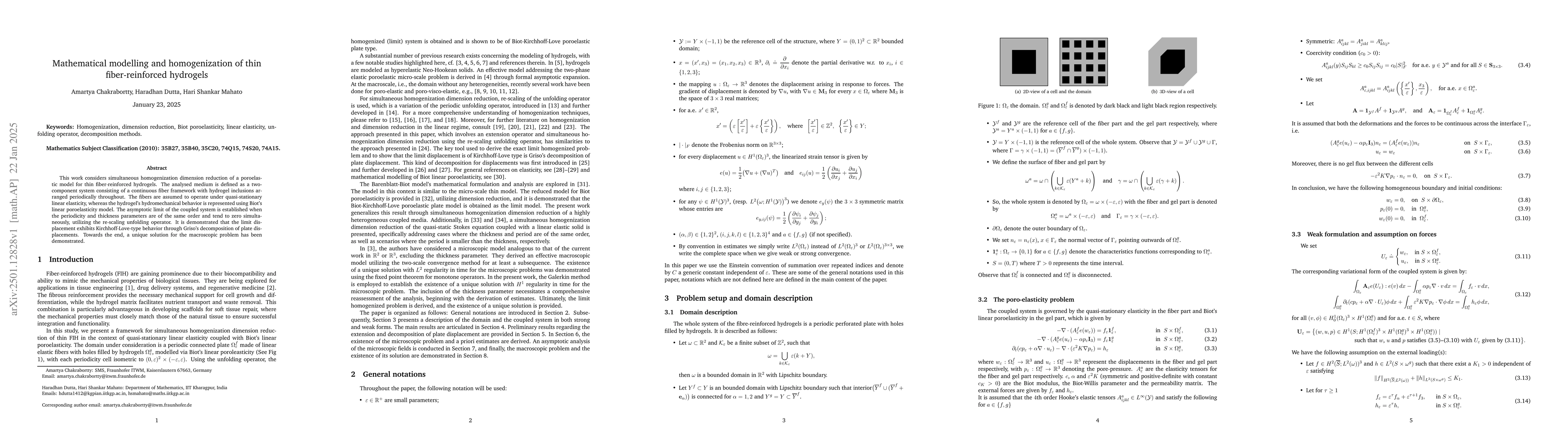 Thumbnail for Mathematical modelling and homogenization of thin fiber-reinforced
  hydrogels