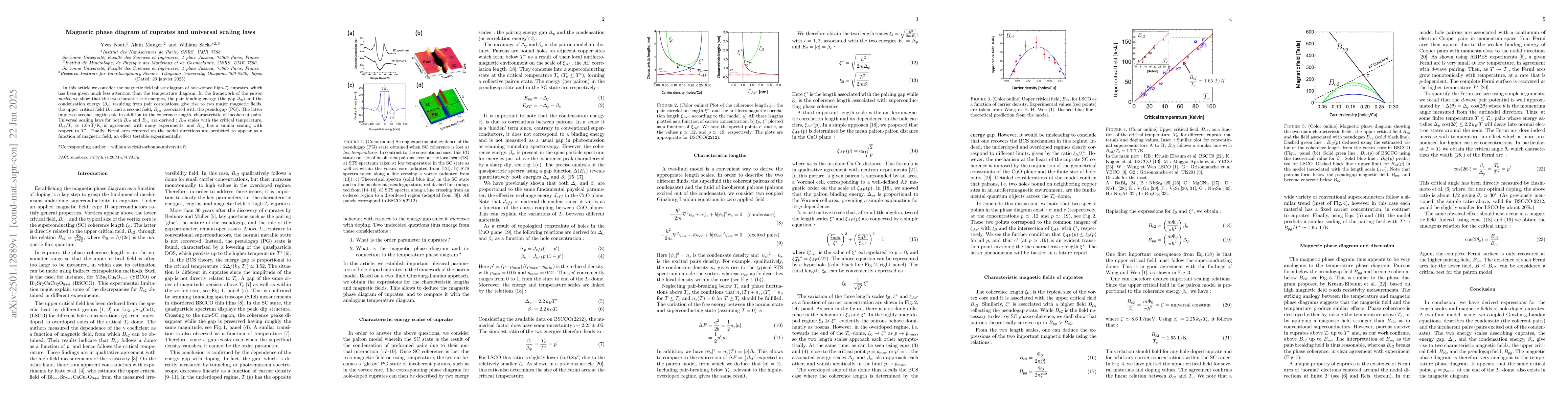 Thumbnail for Magnetic phase diagram of cuprates and universal scaling laws