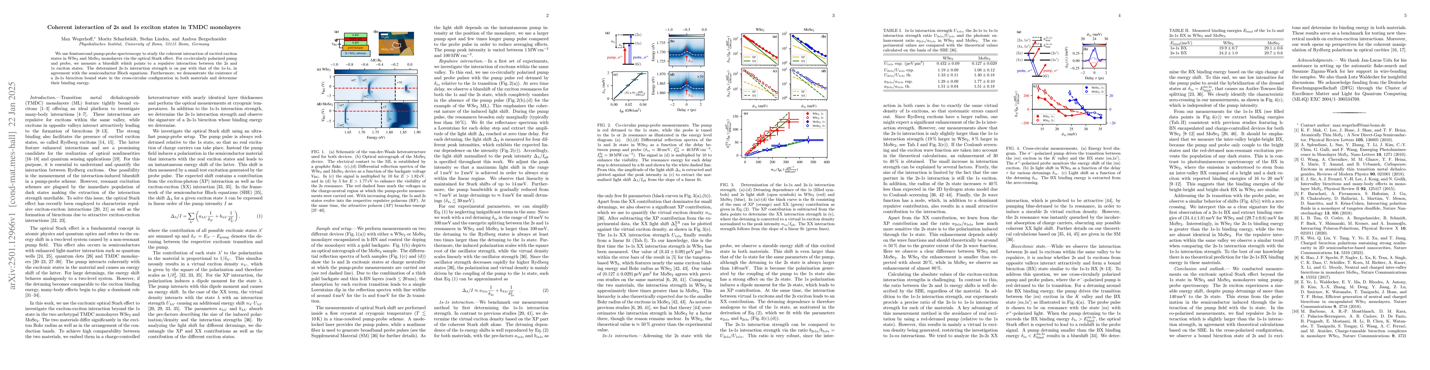 Thumbnail for Coherent interaction of 2s and 1s exciton states in TMDC monolayers