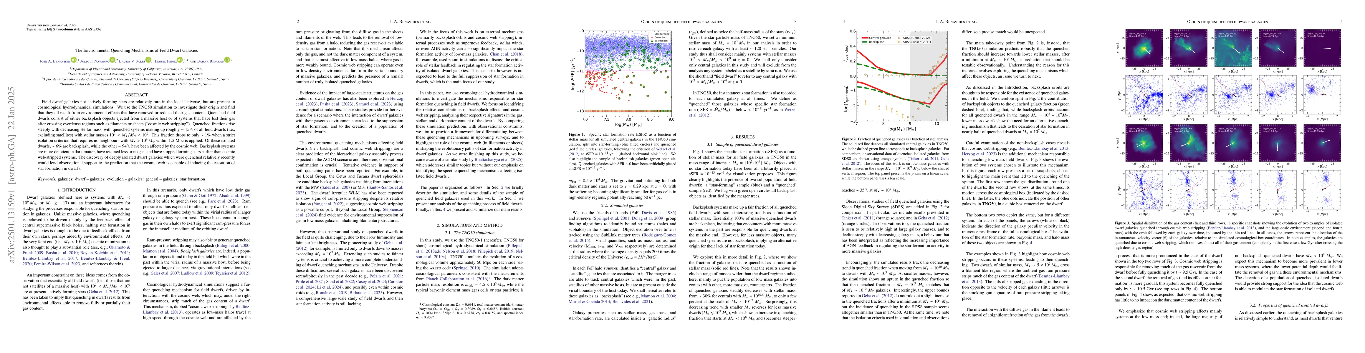 Thumbnail for The Environmental Quenching Mechanisms of Field Dwarf Galaxies