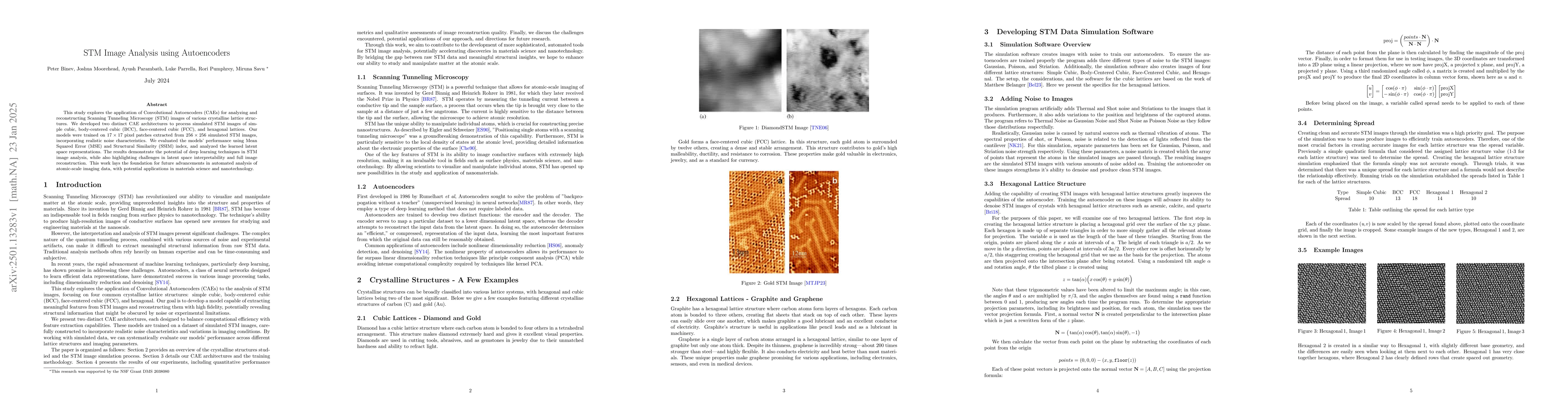 Thumbnail for STM Image Analysis using Autoencoders
