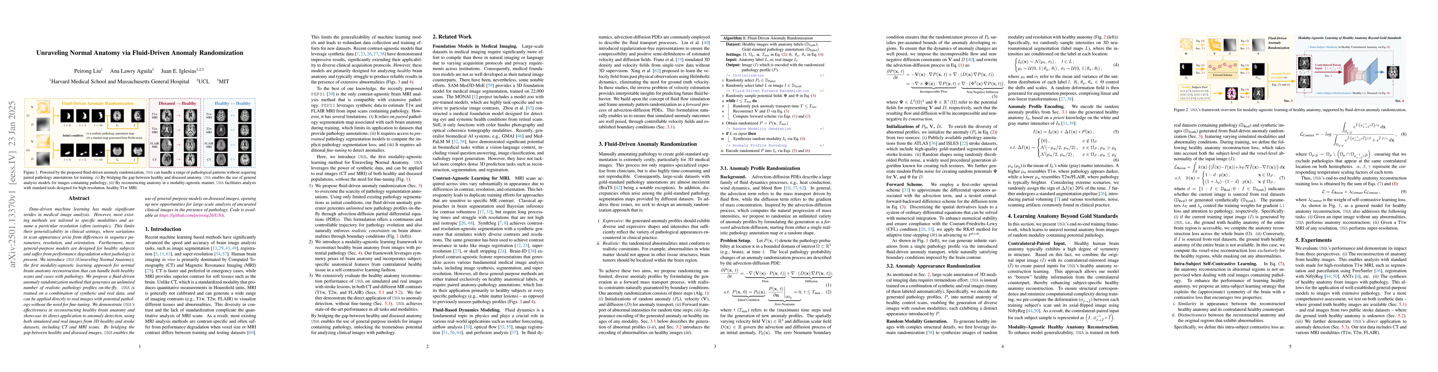 Thumbnail for Unraveling Normal Anatomy via Fluid-Driven Anomaly Randomization