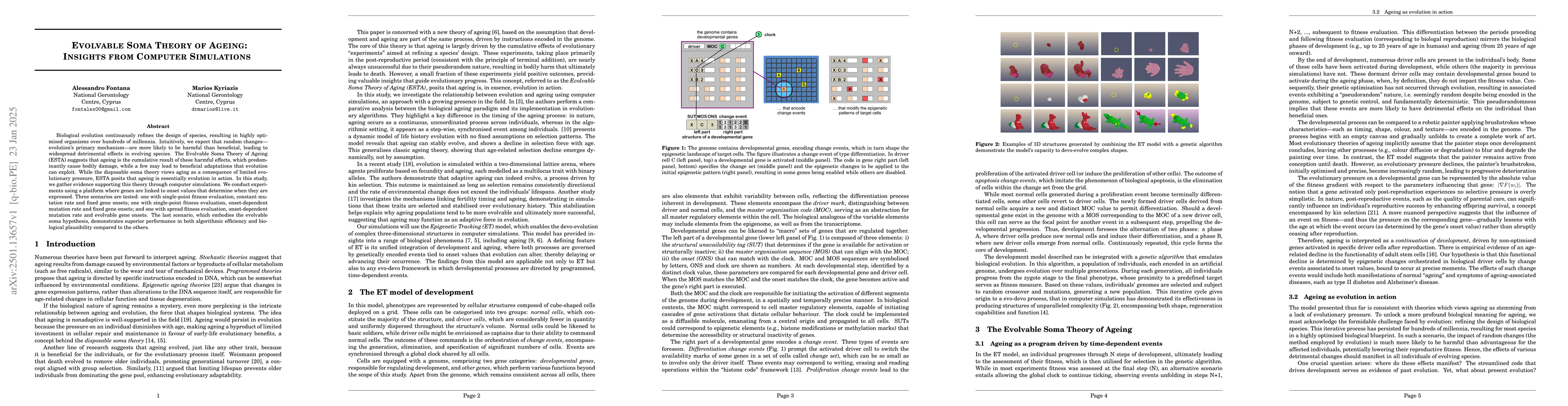 Thumbnail for Evolvable Soma Theory of Ageing: Insights from Computer Simulations