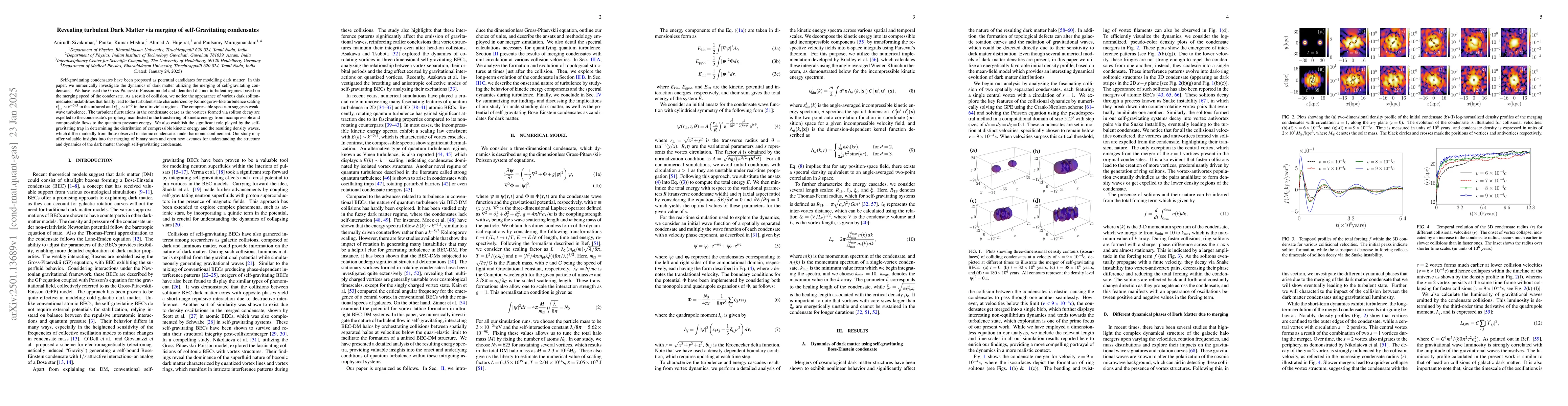 Thumbnail for Revealing turbulent Dark Matter via merging of self-Gravitating
  condensates