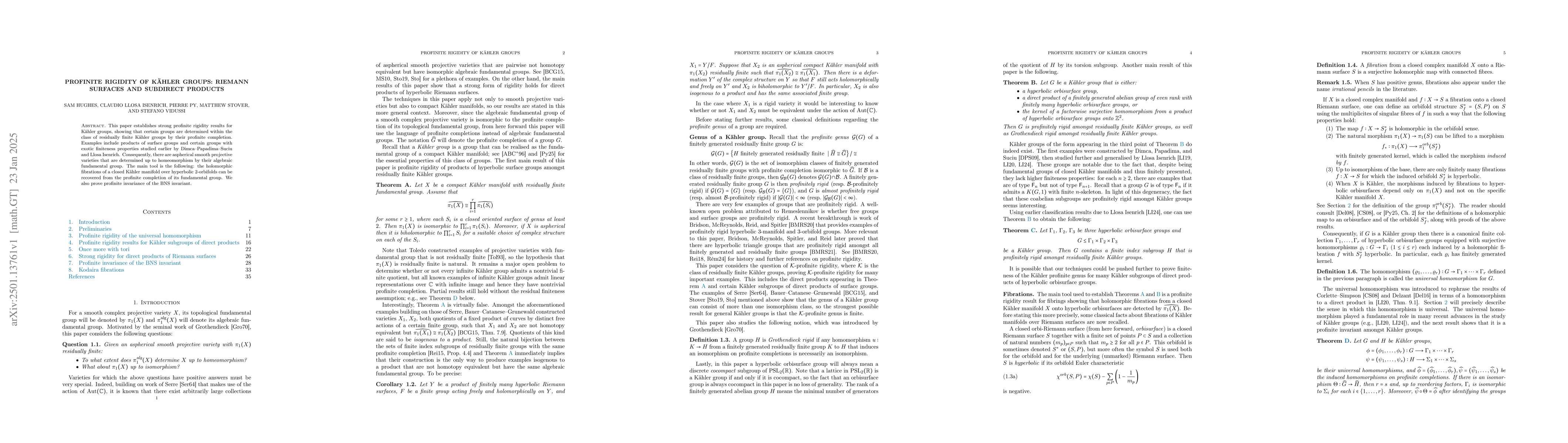 Thumbnail for Profinite rigidity of KĂ¤hler groups: Riemann surfaces and subdirect
  products
