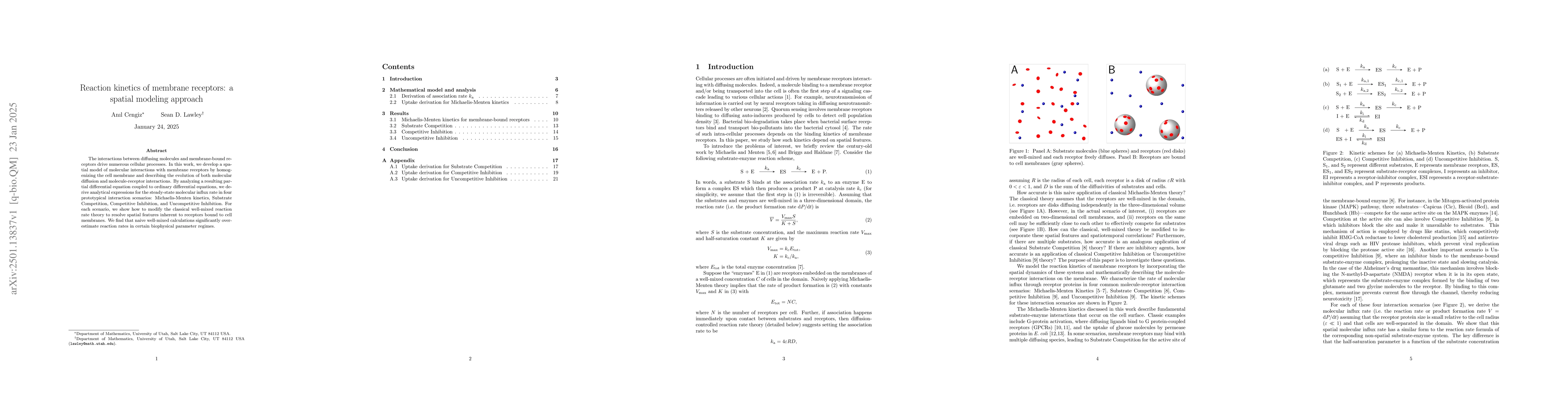 Thumbnail for Reaction kinetics of membrane receptors: a spatial modeling approach