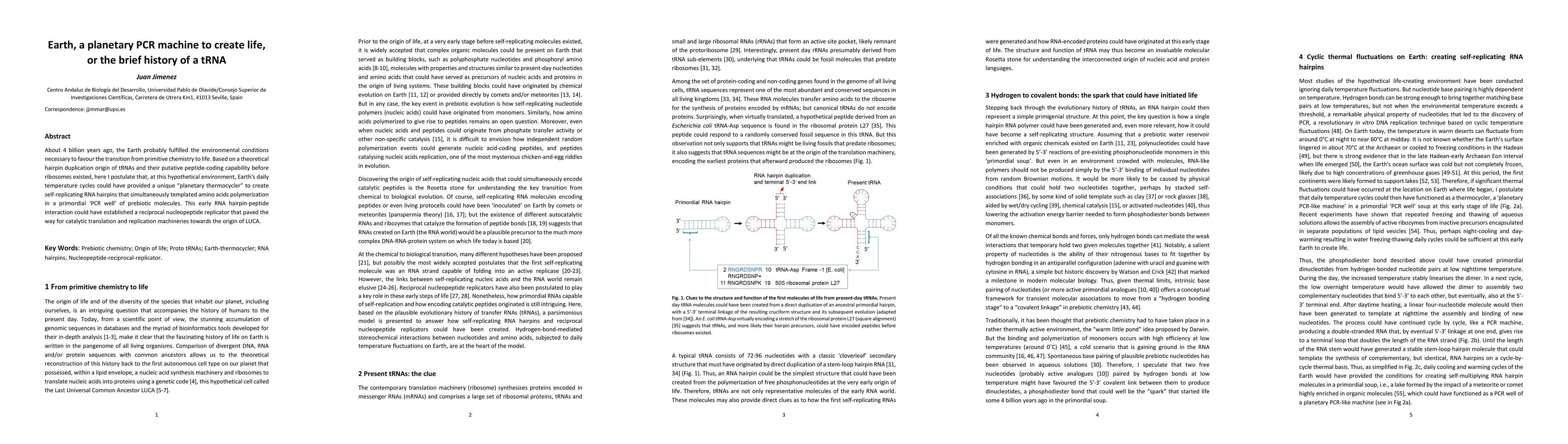 Thumbnail for Earth, a planetary PCR machine to create life, or the brief history of a
  tRNA