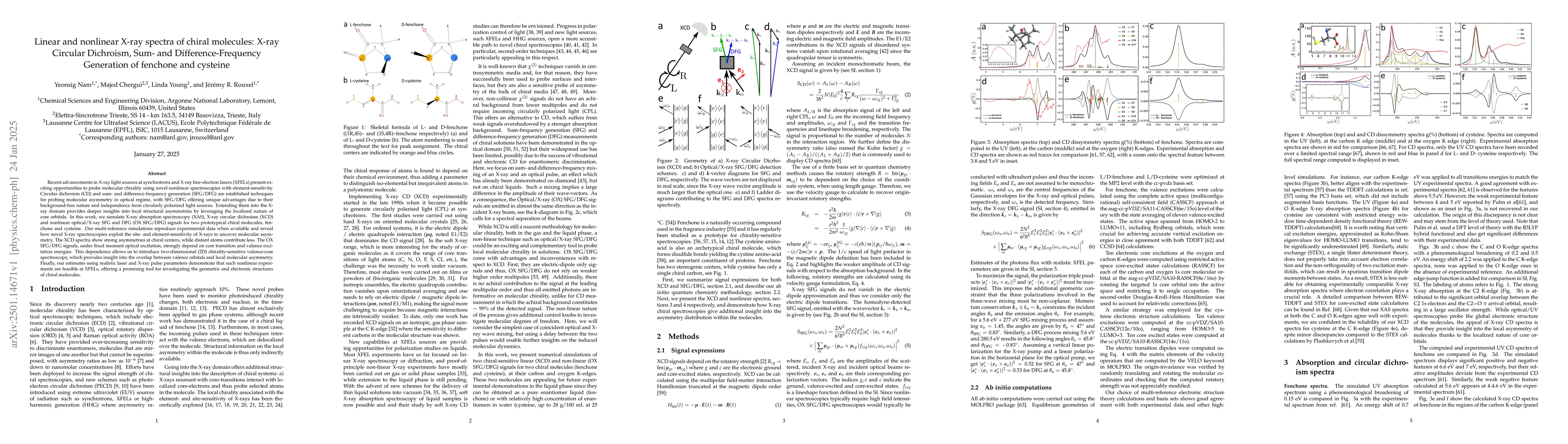 Thumbnail for Linear and nonlinear X-ray spectra of chiral molecules: X-ray Circular
  Dichroism, Sum- and Difference-Frequency Generation of fenchone and cysteine