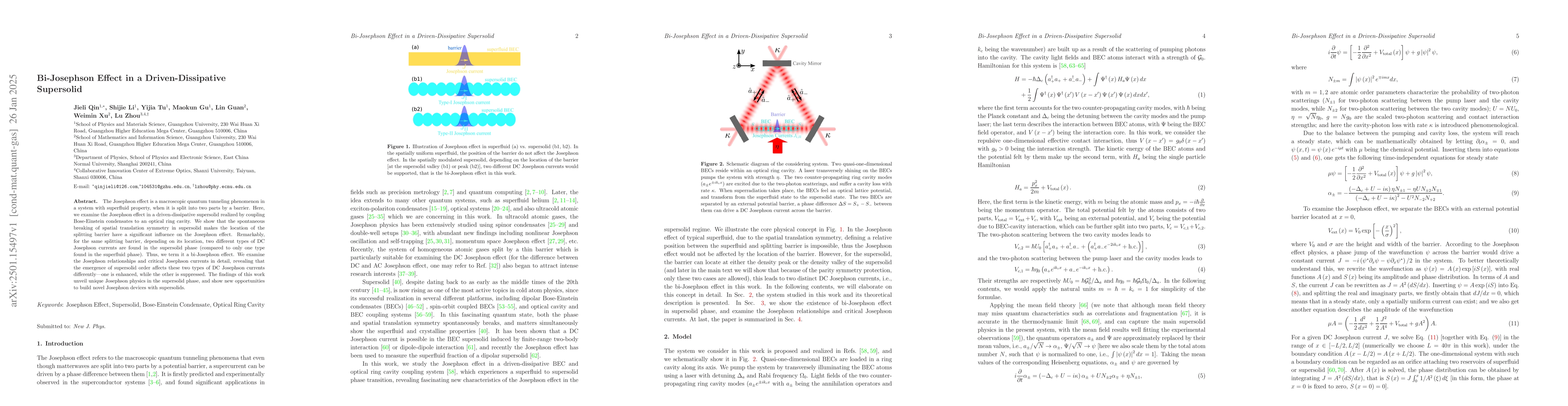 Thumbnail for Bi-Josephson Effect in a Driven-Dissipative Supersolid
