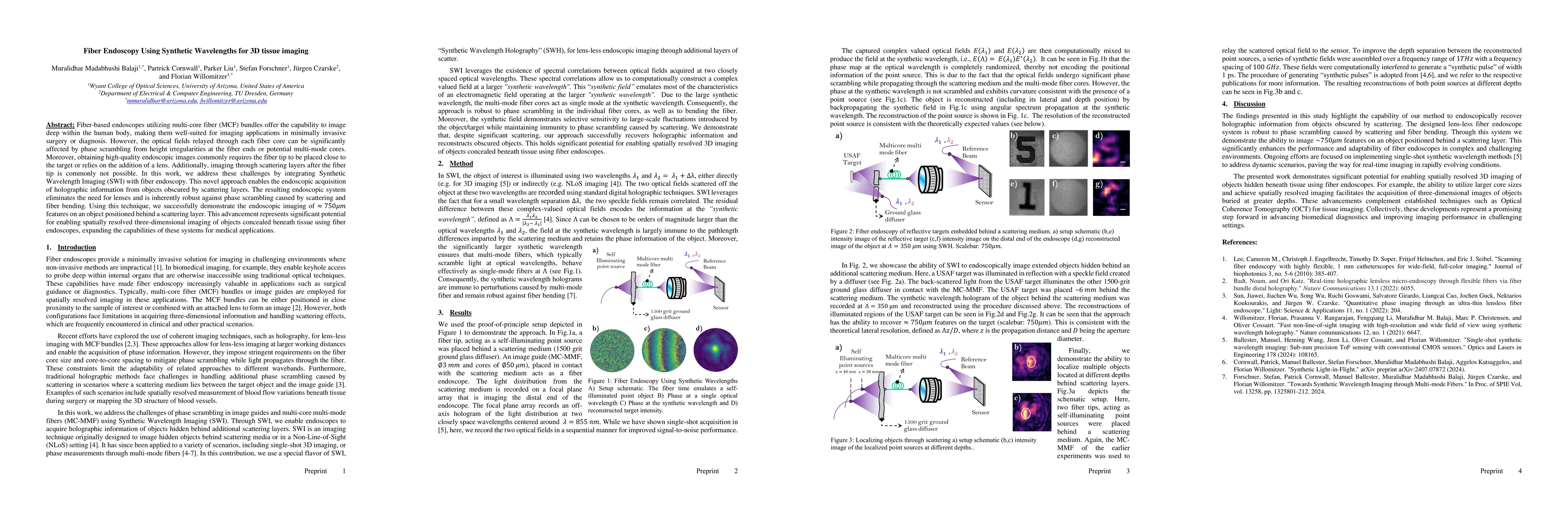 Thumbnail for Fiber Endoscopy Using Synthetic Wavelengths for 3D tissue imaging