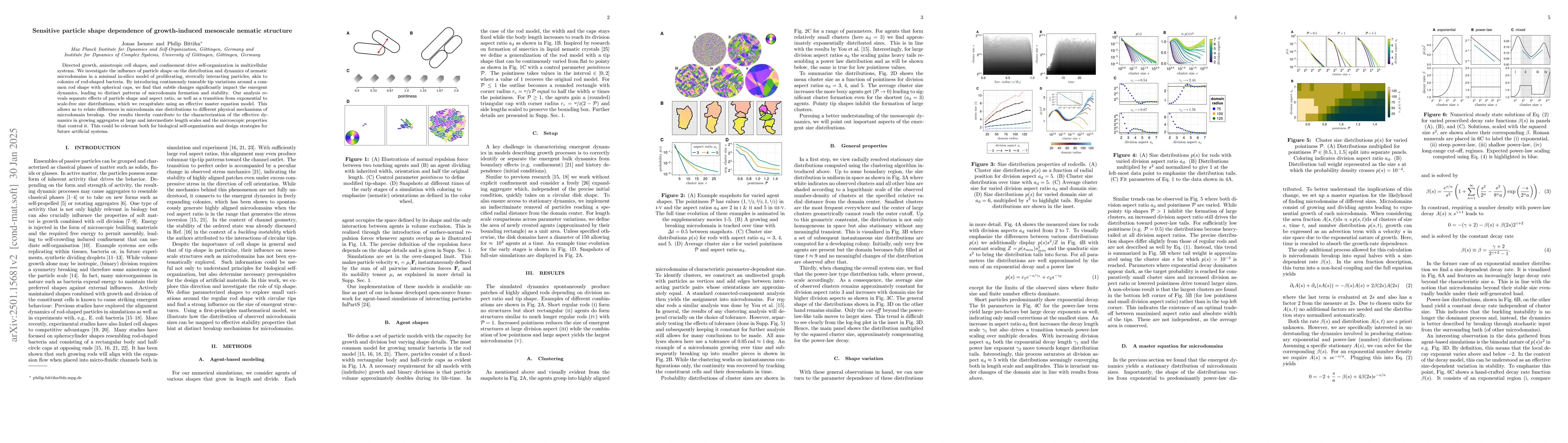 Thumbnail for Sensitive particle shape dependence of growth-induced mesoscale nematic
  structure