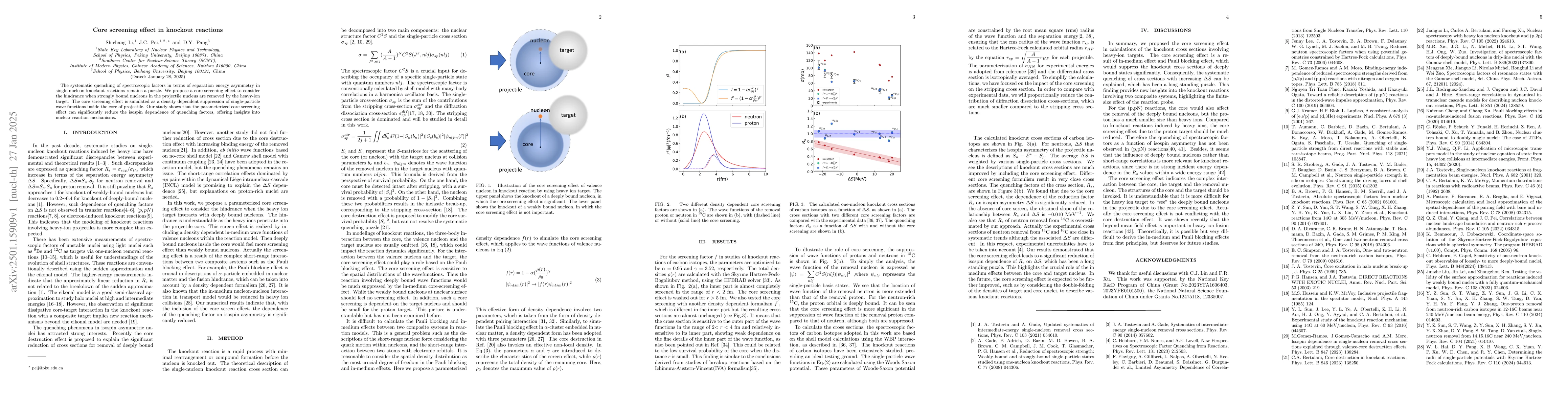 Thumbnail for Core screening effect in knockout reactions