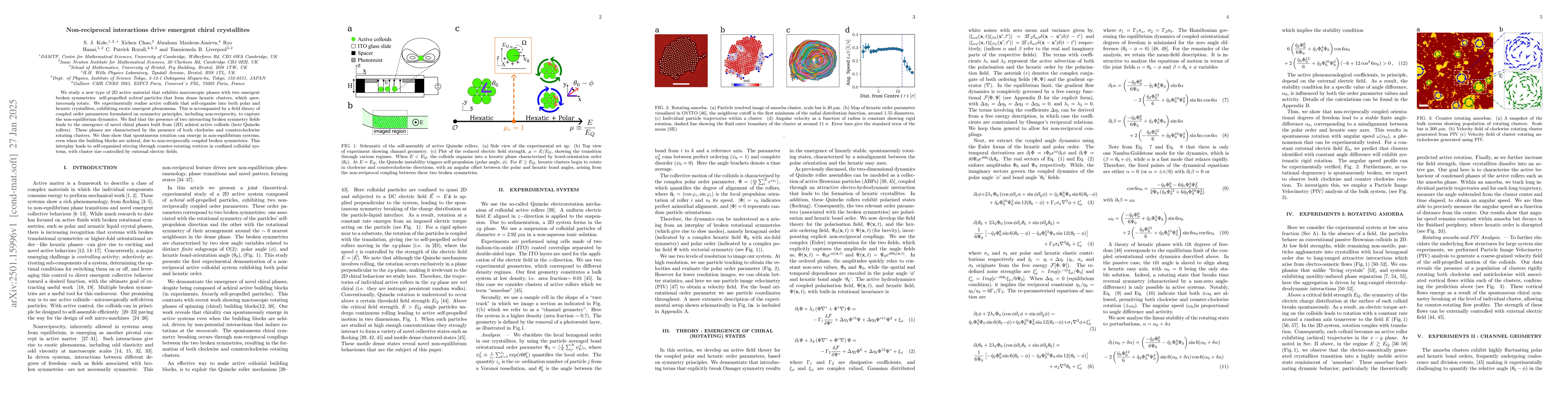 Thumbnail for Non-reciprocal interactions drive emergent chiral crystallites