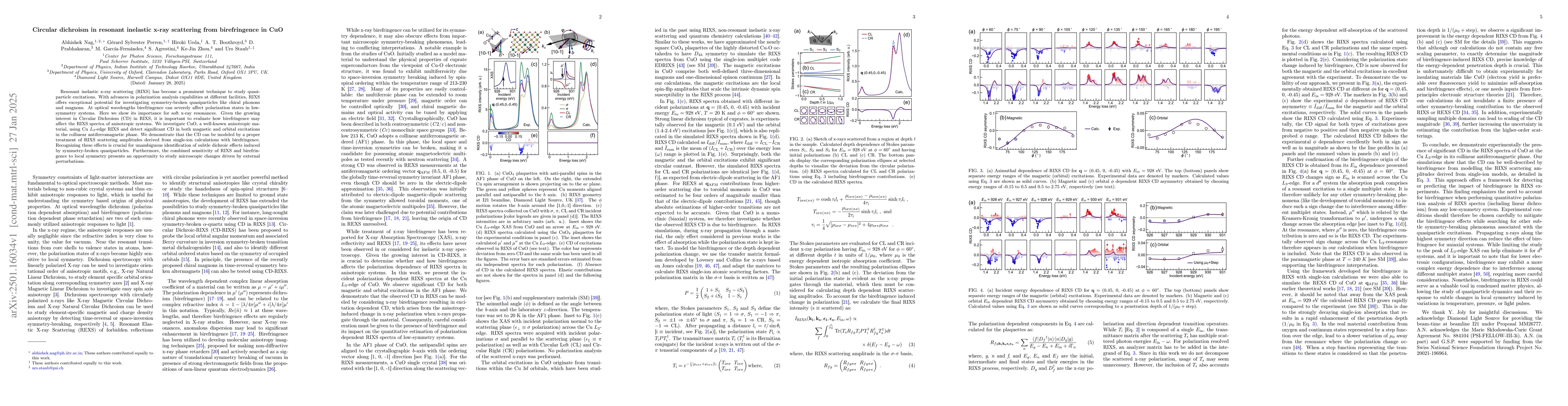 Thumbnail for Circular dichroism in resonant inelastic x-ray scattering from
  birefringence in CuO