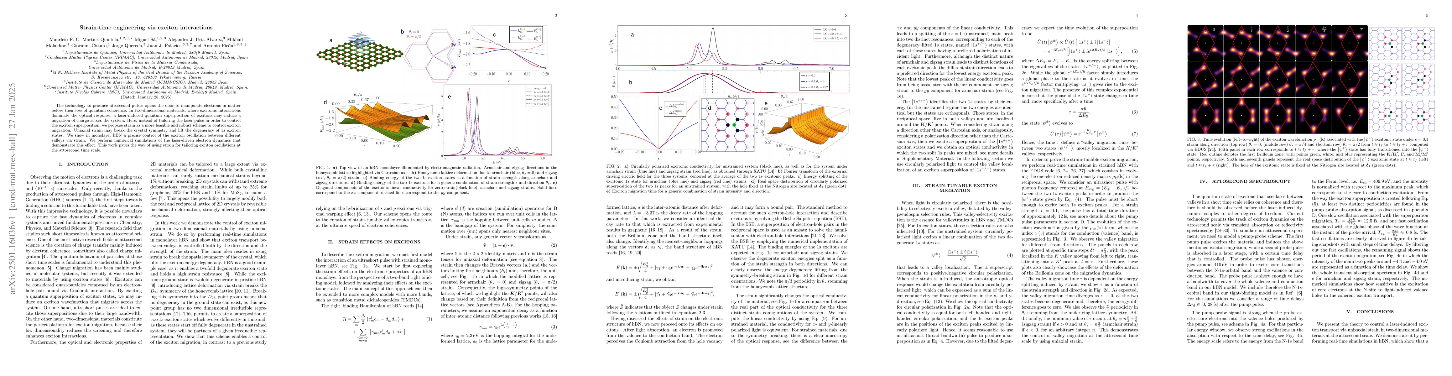 Thumbnail for Strain-time engineering via exciton interactions