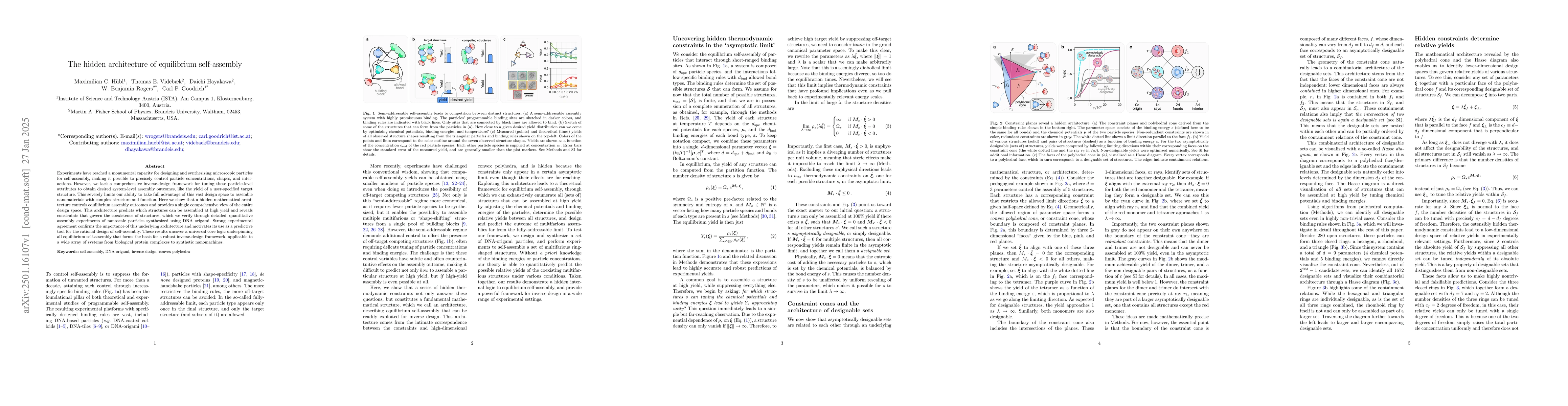 Thumbnail for The hidden architecture of equilibrium self-assembly