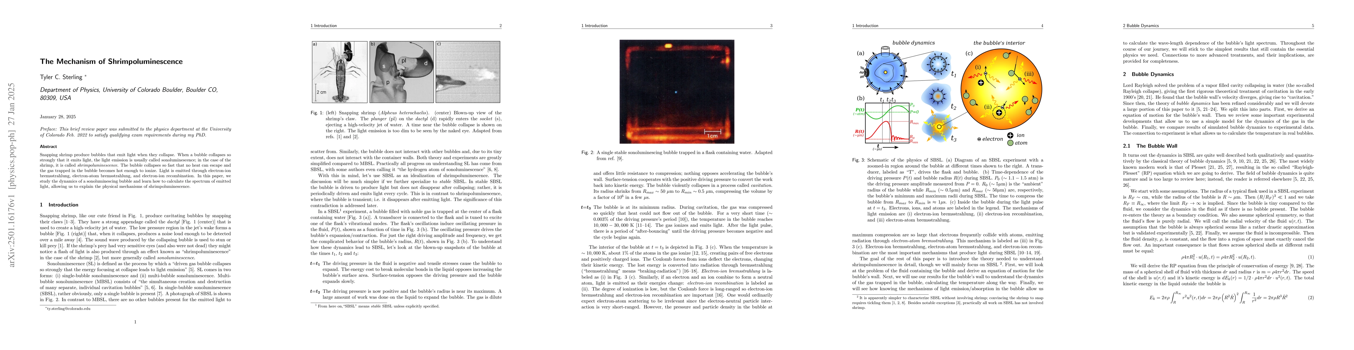 Thumbnail for The Mechanism of Shrimpoluminescence