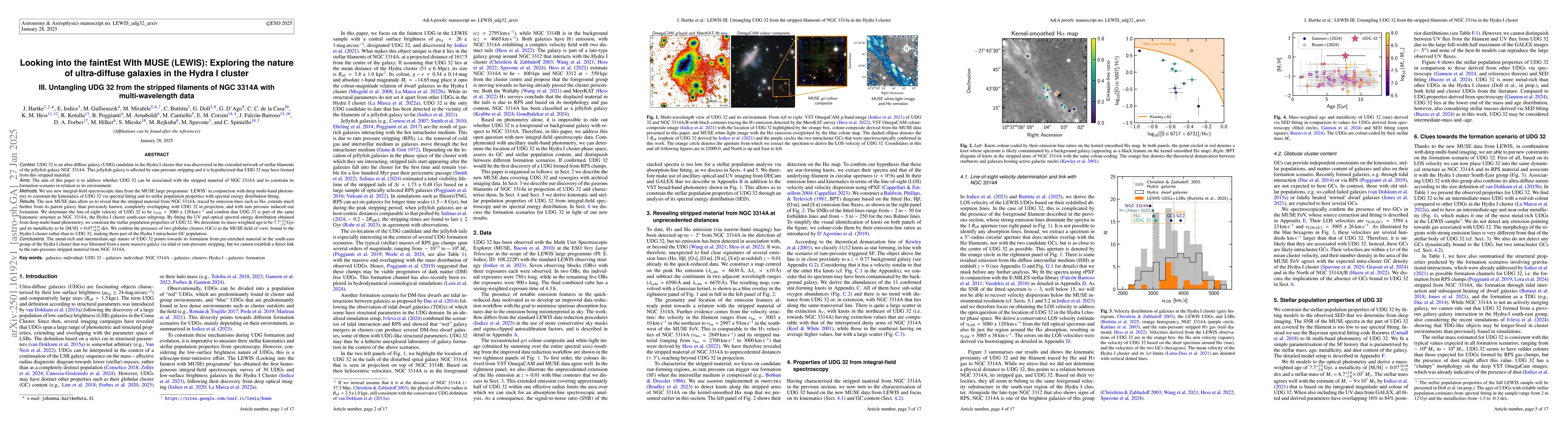 Thumbnail for Looking into the faintEst WIth MUSE (LEWIS): Exploring the nature of
  ultra-diffuse galaxies in the Hydra I cluster III. Untangling UDG 32 from the
  stripped filaments of NGC 3314A with multi-wavelength data