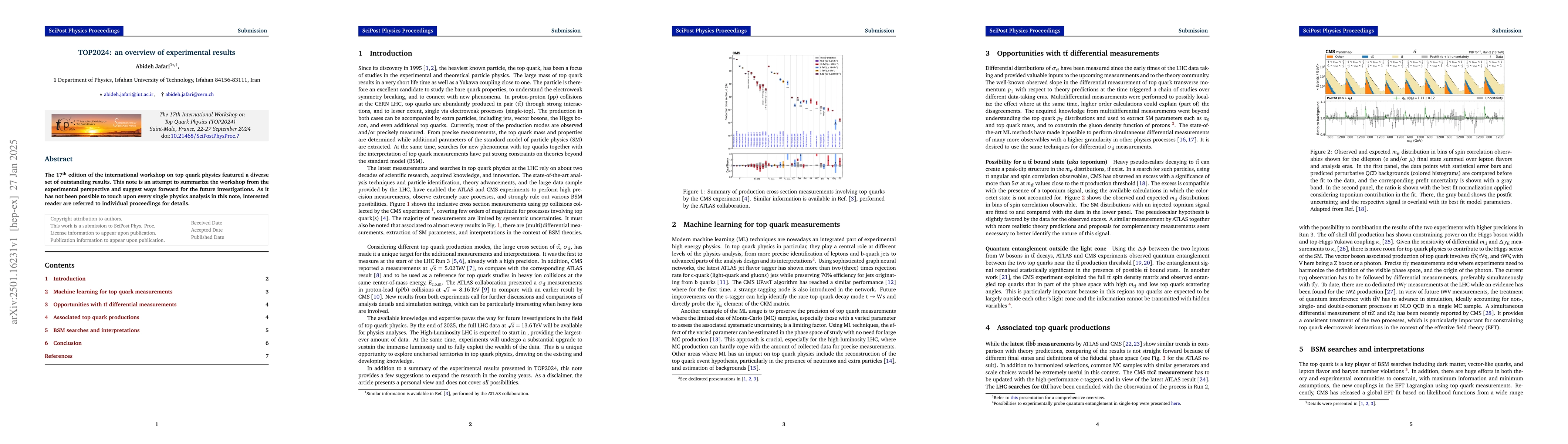 Thumbnail for TOP2024: an overview of experimental results