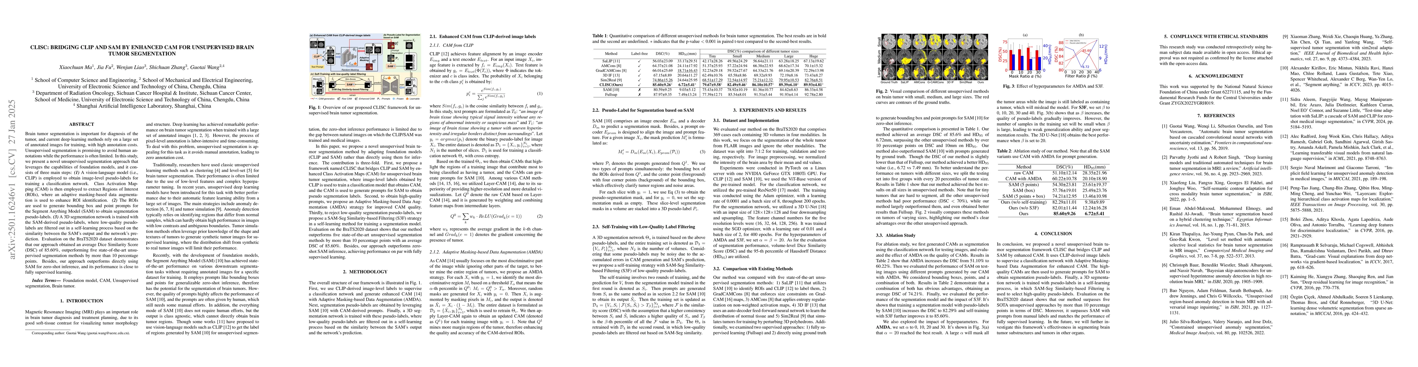 Thumbnail for CLISC: Bridging clip and sam by enhanced cam for unsupervised brain
  tumor segmentation