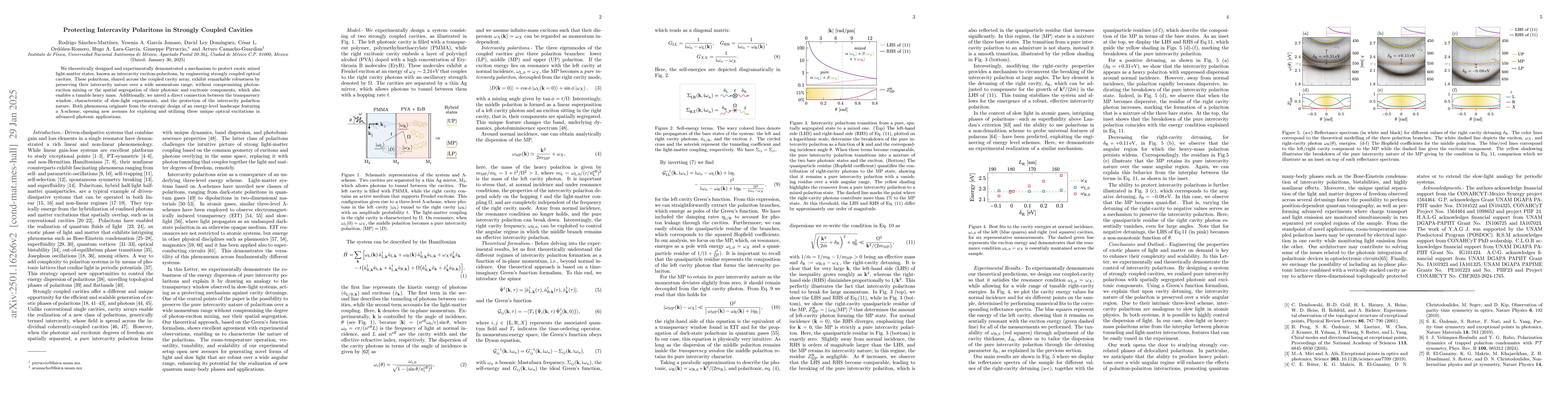 Thumbnail for Protecting Intercavity Polaritons in Strongly Coupled Cavities