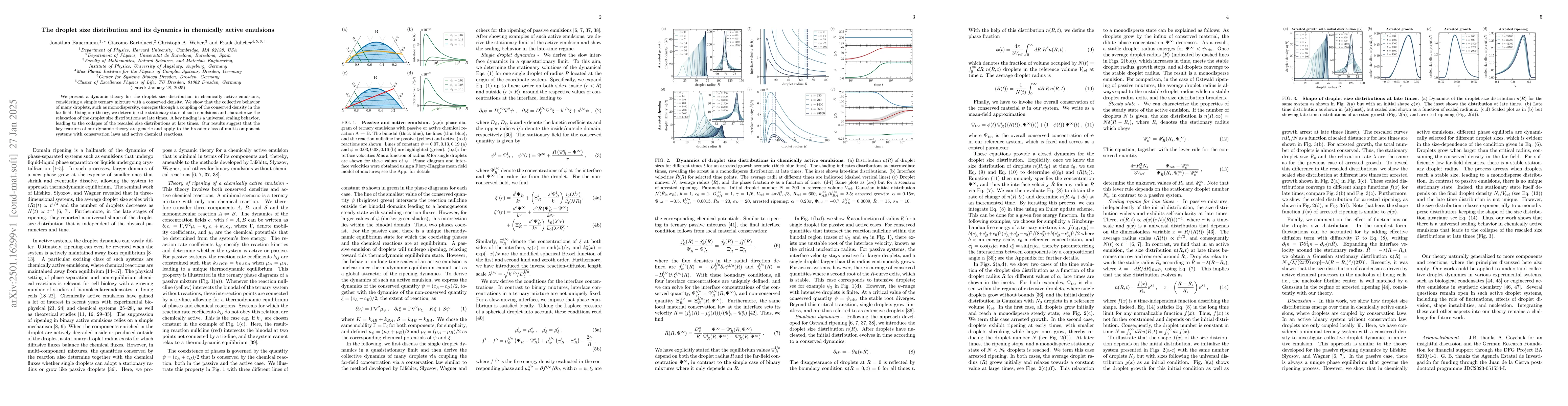 Thumbnail for The droplet size distribution and its dynamics in chemically active
  emulsions
