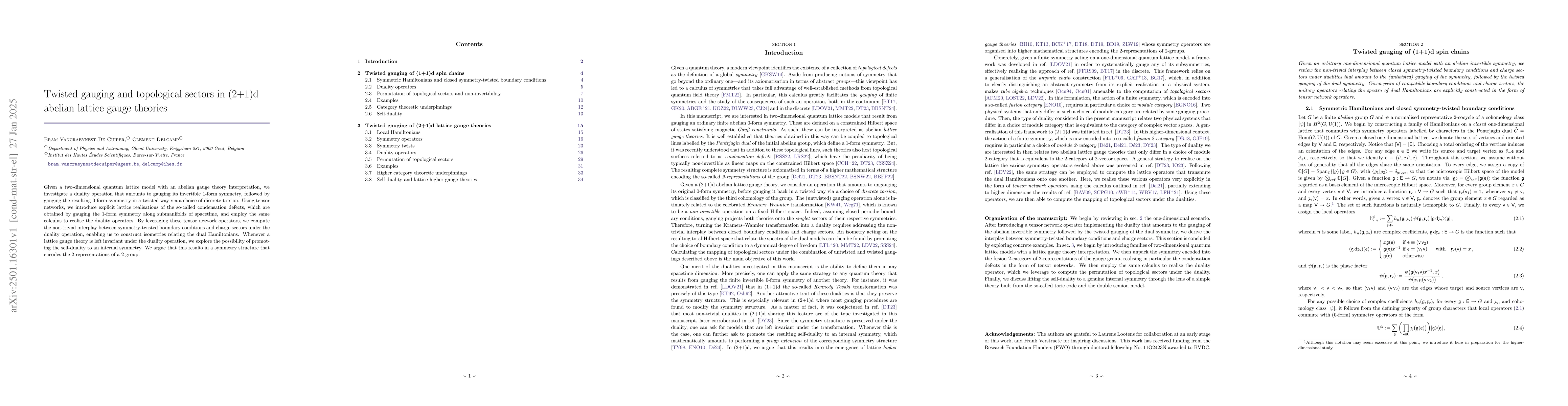 Thumbnail for Twisted gauging and topological sectors in (2+1)d abelian lattice gauge
  theories