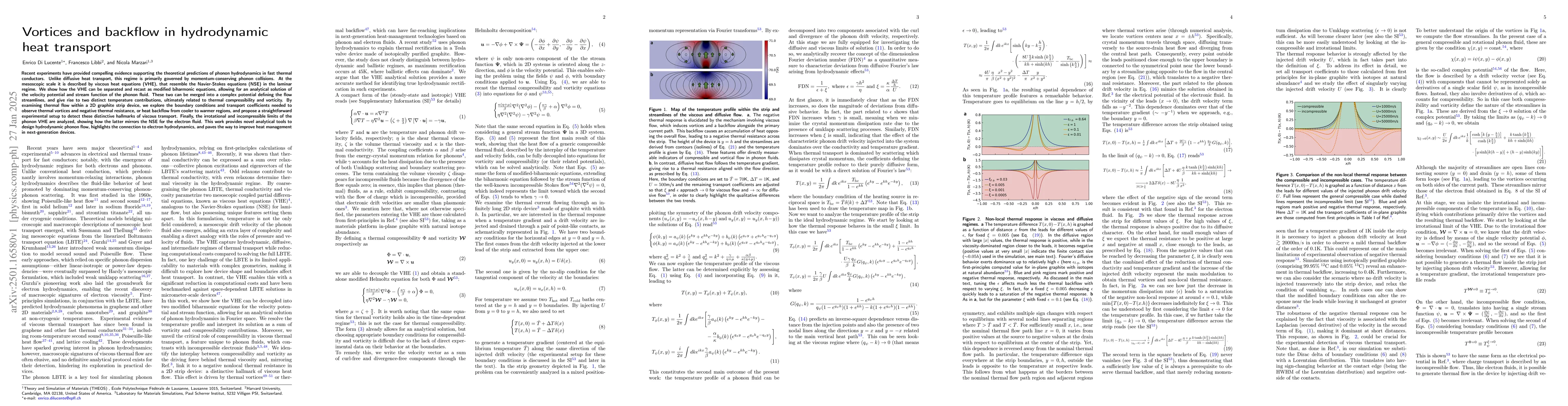 Thumbnail for Vortices and backflow in hydrodynamic heat transport