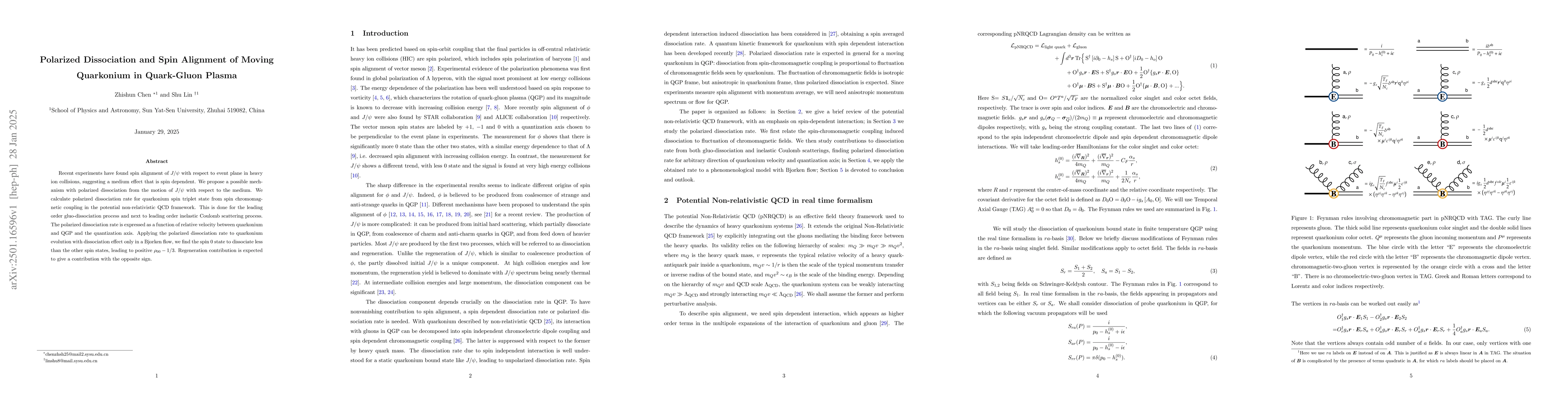 Thumbnail for Polarized Dissociation and Spin Alignment of Moving Quarkonium in
  Quark-Gluon Plasma