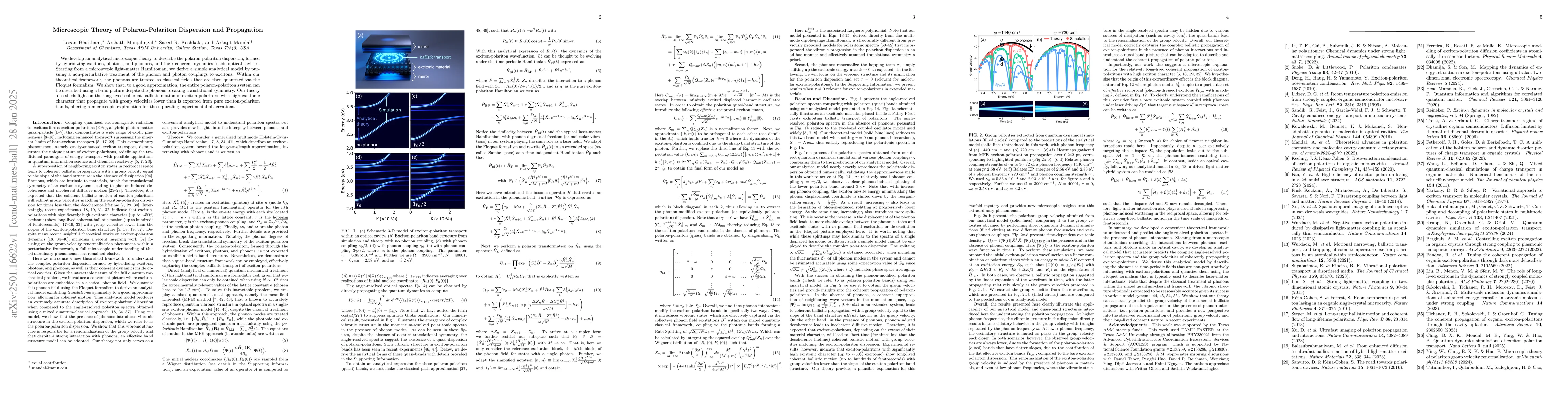 Thumbnail for Microscopic Theory of Polaron-Polariton Dispersion and Propagation