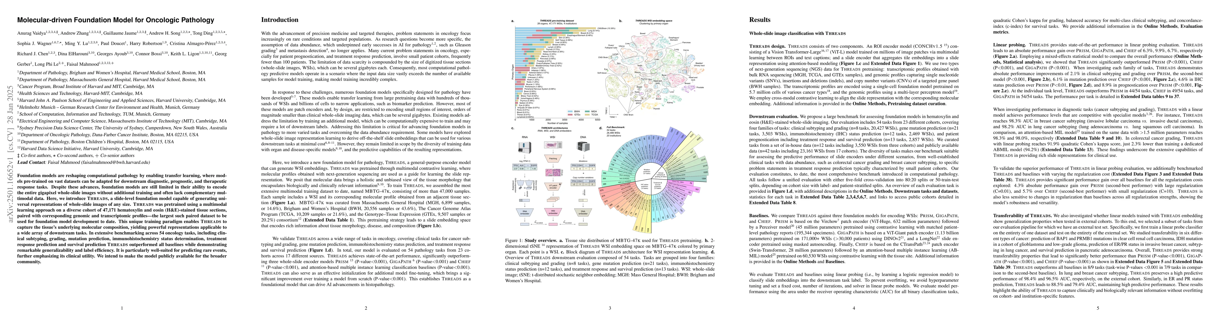 Thumbnail for Molecular-driven Foundation Model for Oncologic Pathology