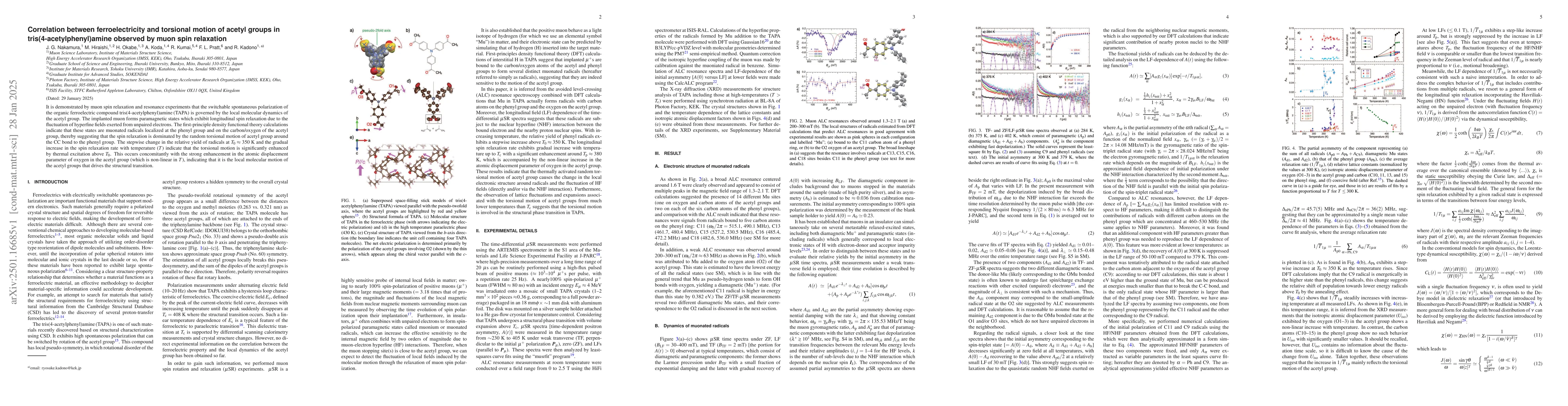 Thumbnail for Correlation between ferroelectricity and torsional motion of acetyl
  groups in tris(4-acetylphenyl)amine observed by muon spin relaxation