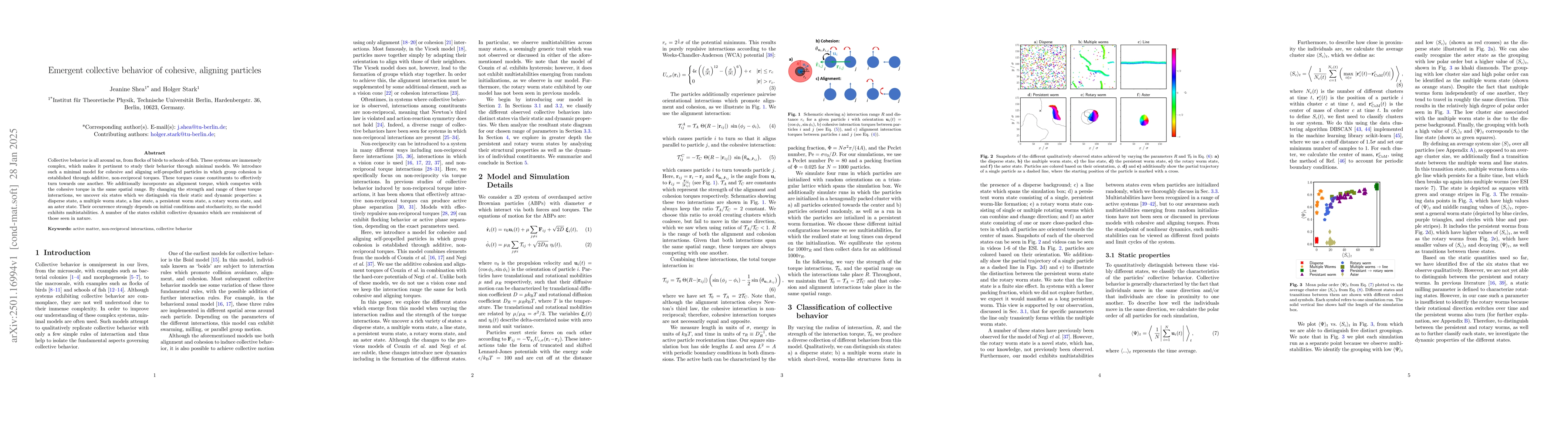 Thumbnail for Emergent collective behavior of cohesive, aligning particles