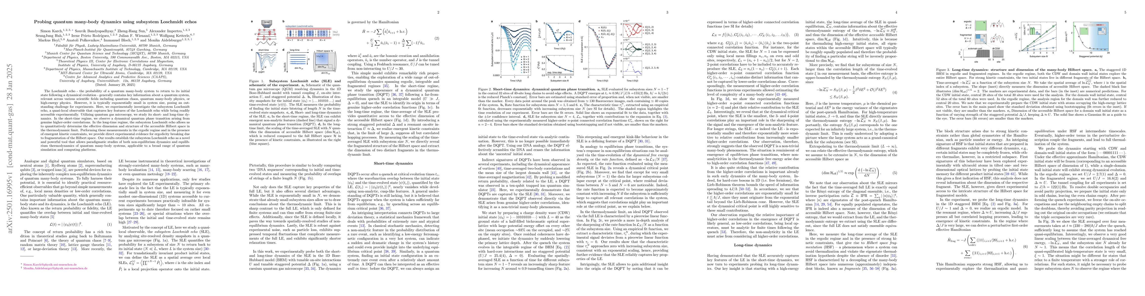 Thumbnail for Probing quantum many-body dynamics using subsystem Loschmidt echos