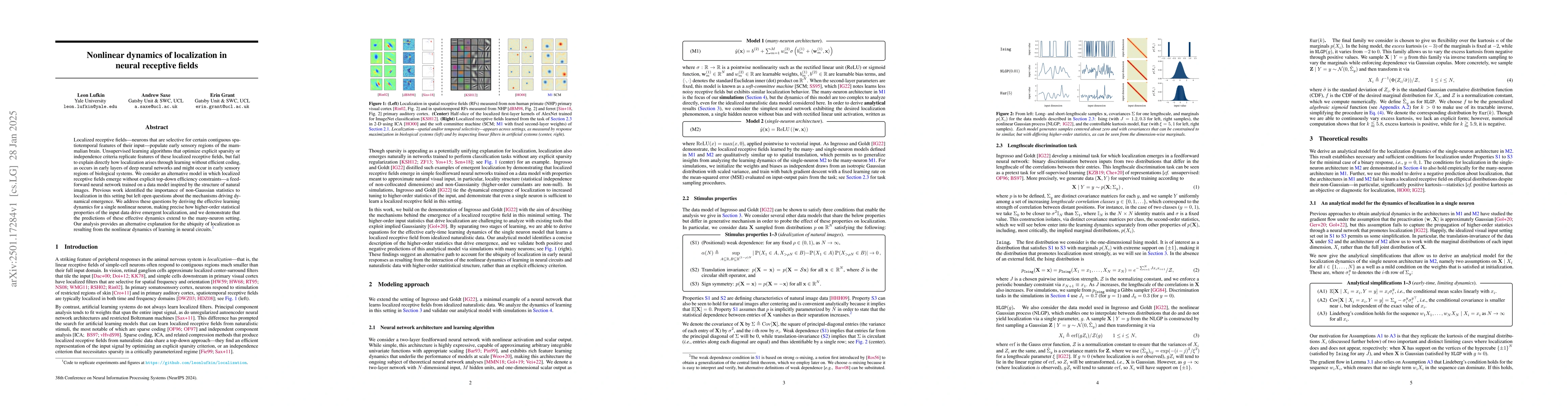 Thumbnail for Nonlinear dynamics of localization in neural receptive fields