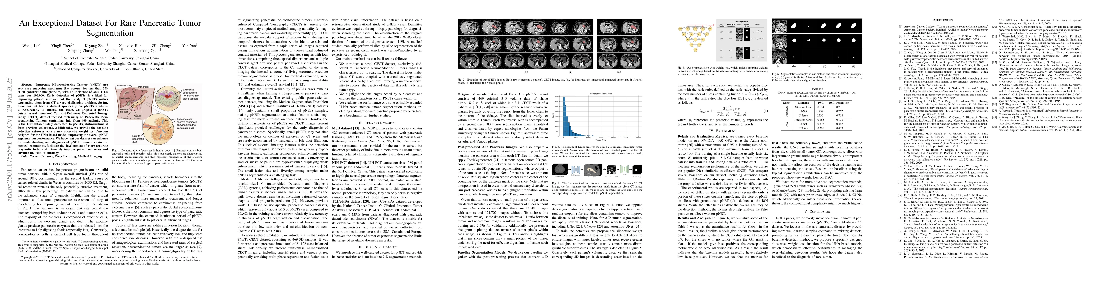 Thumbnail for An Exceptional Dataset For Rare Pancreatic Tumor Segmentation