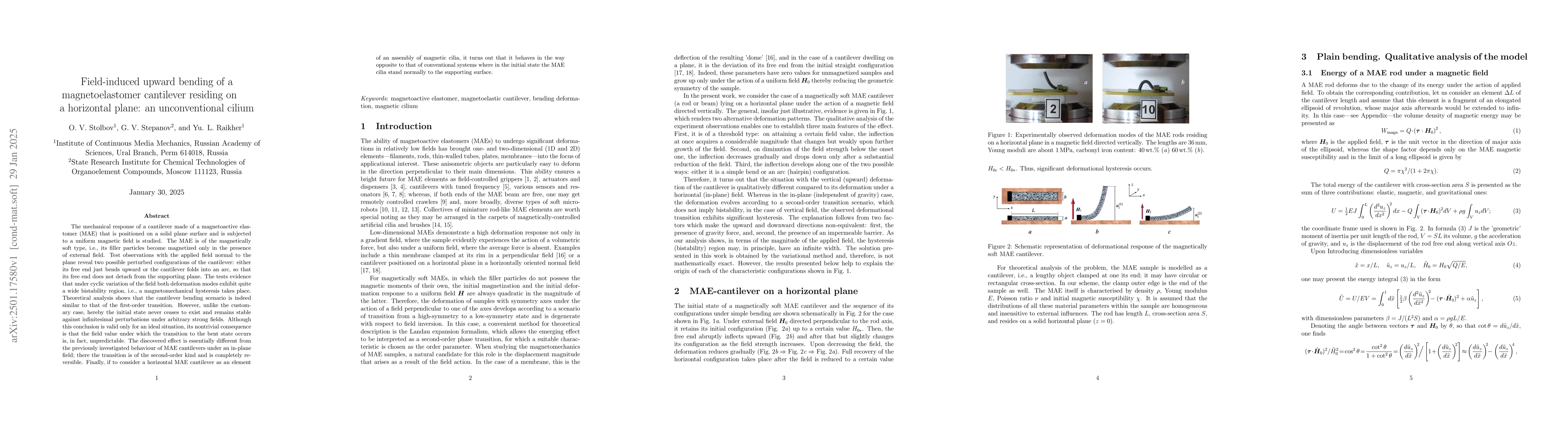 Thumbnail for Field-induced upward bending of a magnetoelastomer cantilever residing
  on a horizontal plane: an unconventional cilium