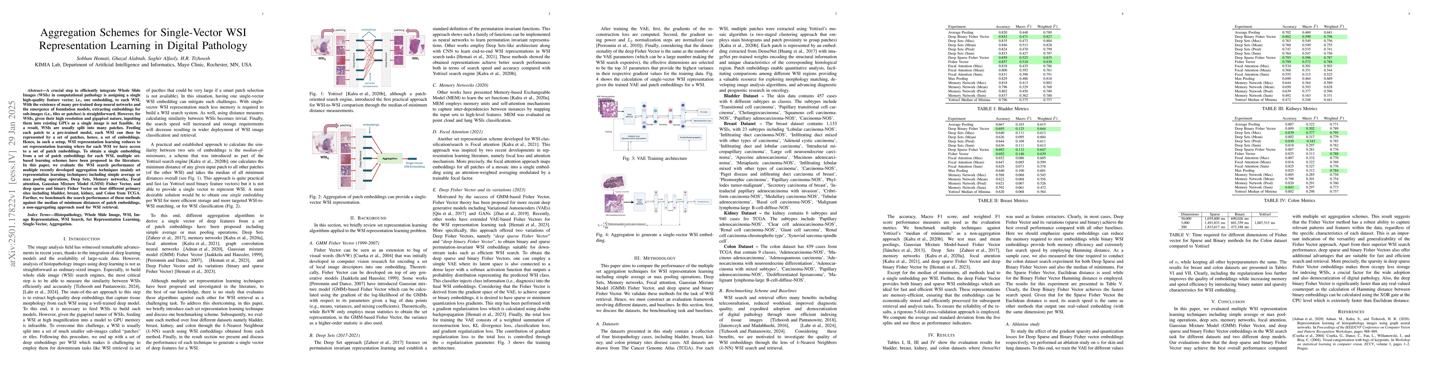 Thumbnail for Aggregation Schemes for Single-Vector WSI Representation Learning in
  Digital Pathology