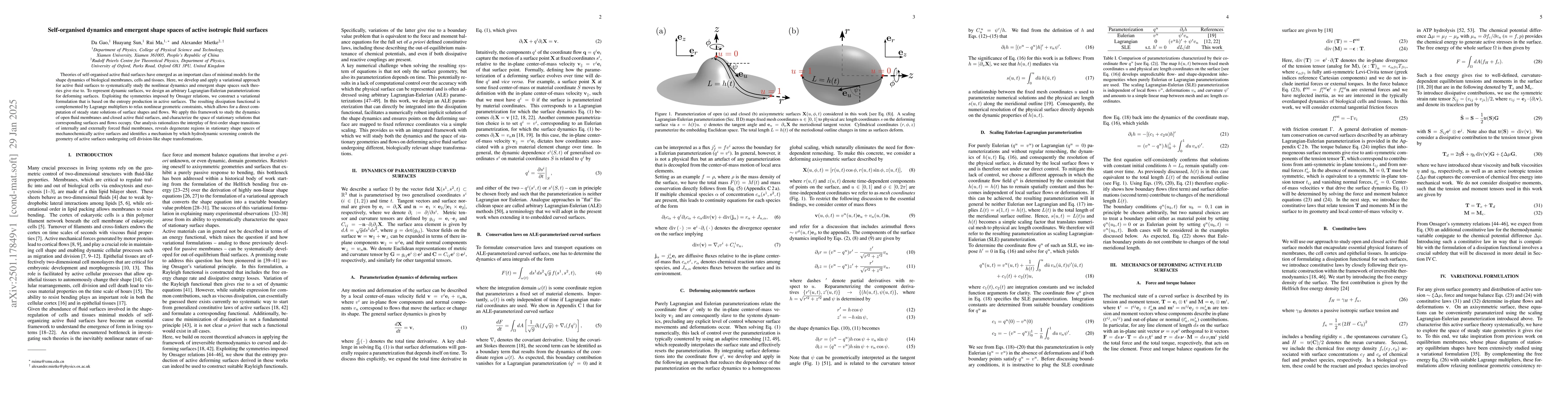 Thumbnail for Self-organised dynamics and emergent shape spaces of active isotropic
  fluid surfaces