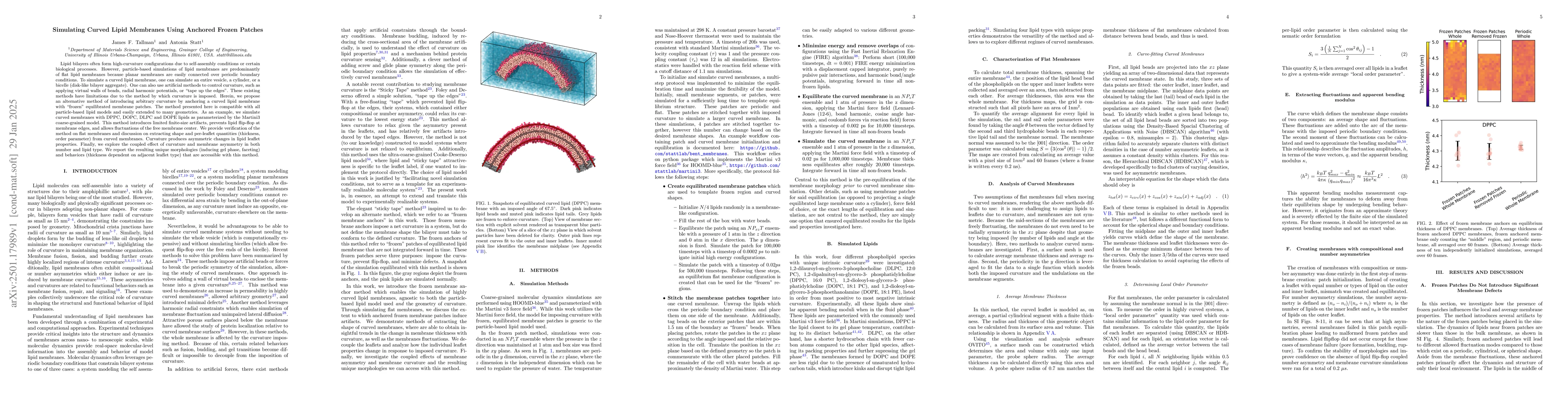 Thumbnail for Simulating Curved Lipid Membranes Using Anchored Frozen Patches