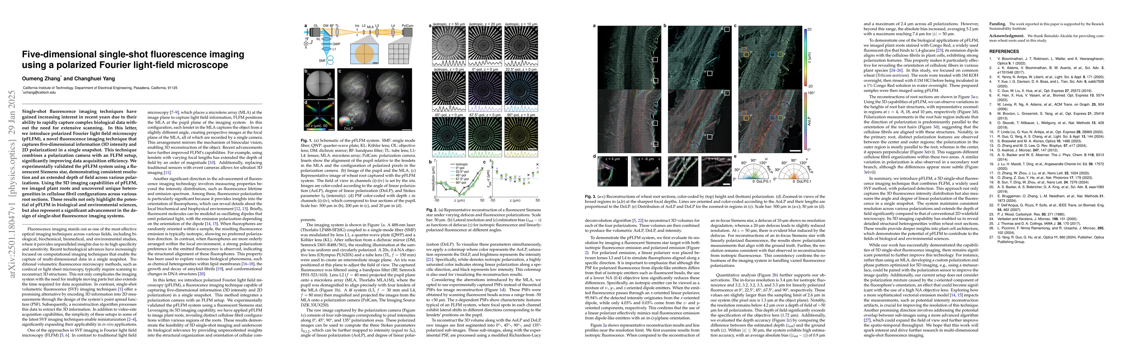 Thumbnail for Five-dimensional single-shot fluorescence imaging using a polarized
  Fourier light-field microscope