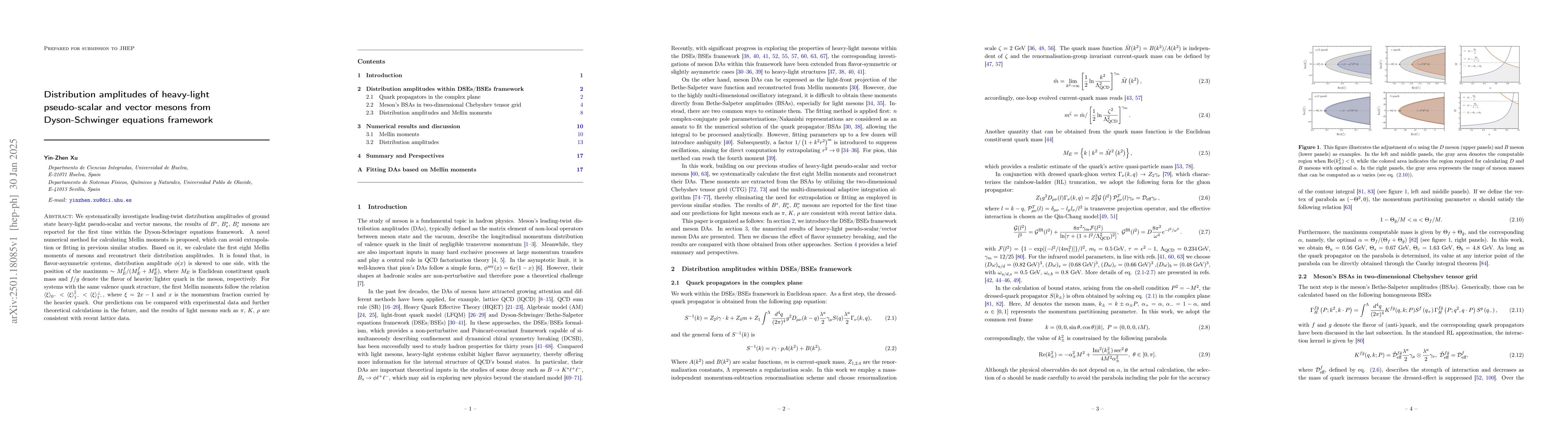Thumbnail for Distribution amplitudes of heavy-light pseudo-scalar and vector mesons
  from Dyson-Schwinger equations framework