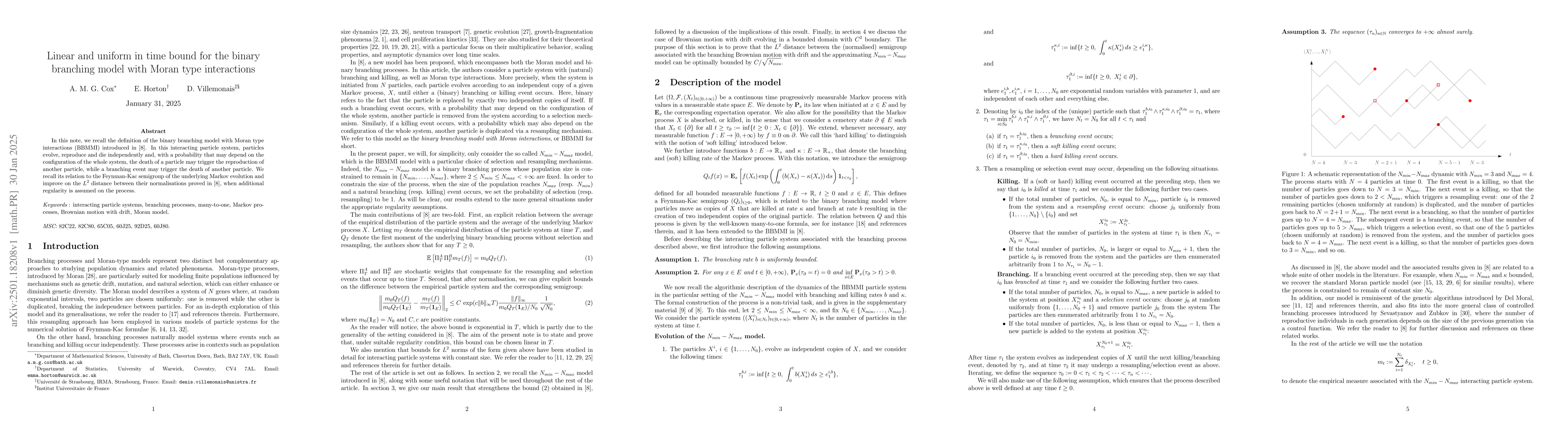 Thumbnail for Linear and uniform in time bound for the binary branching model with
  Moran type interactions