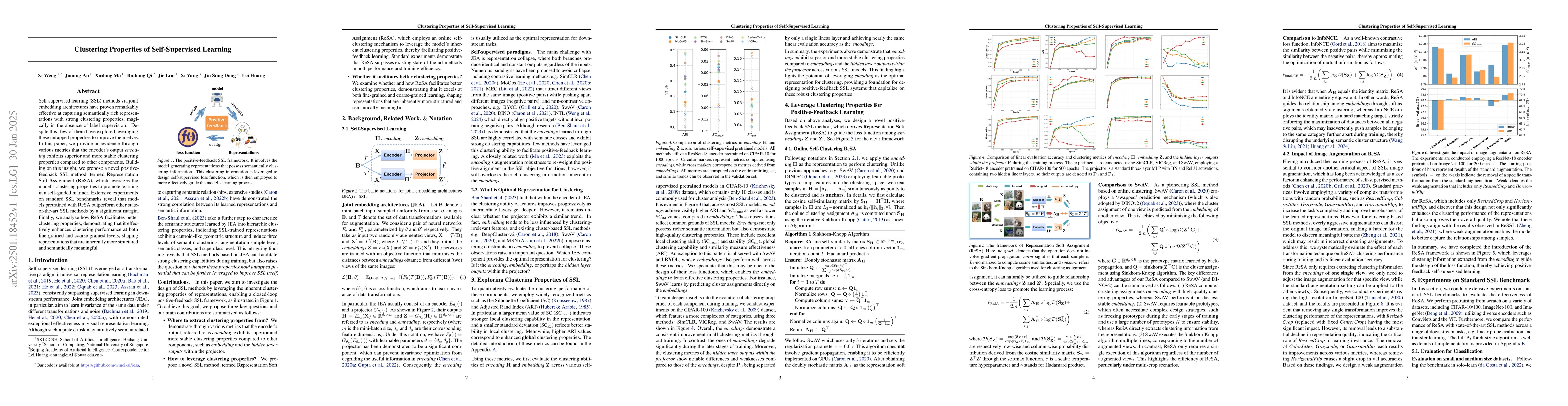 Thumbnail for Clustering Properties of Self-Supervised Learning