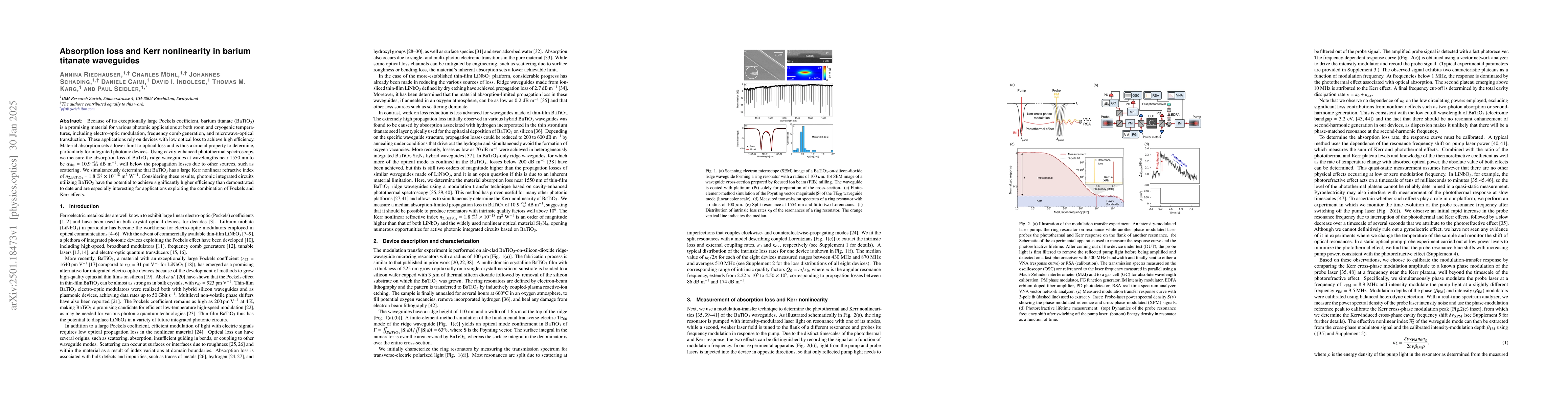 Thumbnail for Absorption loss and Kerr nonlinearity in barium titanate waveguides