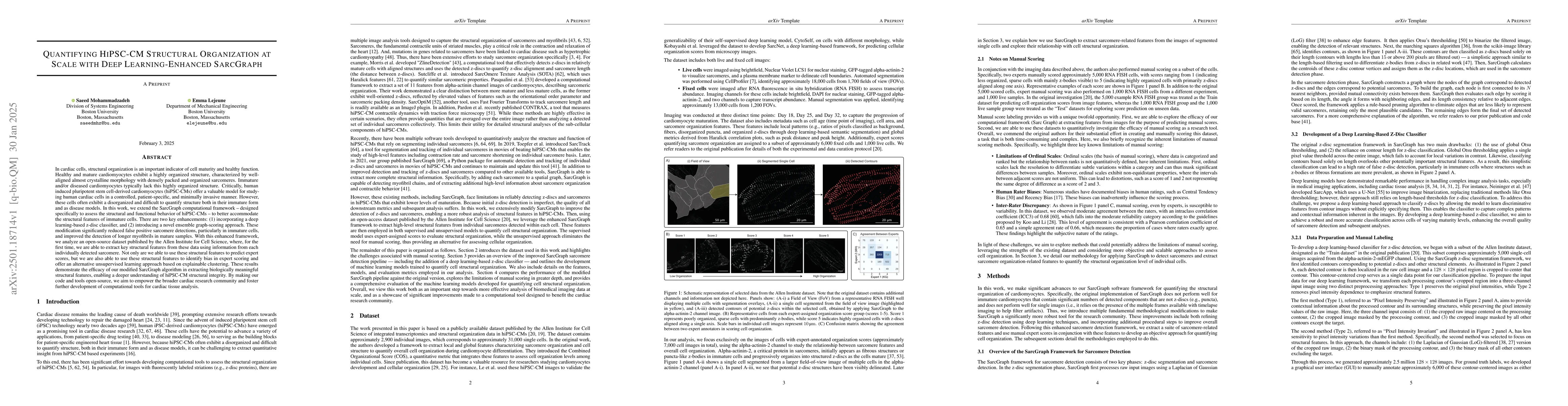 Thumbnail for Quantifying HiPSC-CM Structural Organization at Scale with Deep
  Learning-Enhanced SarcGraph