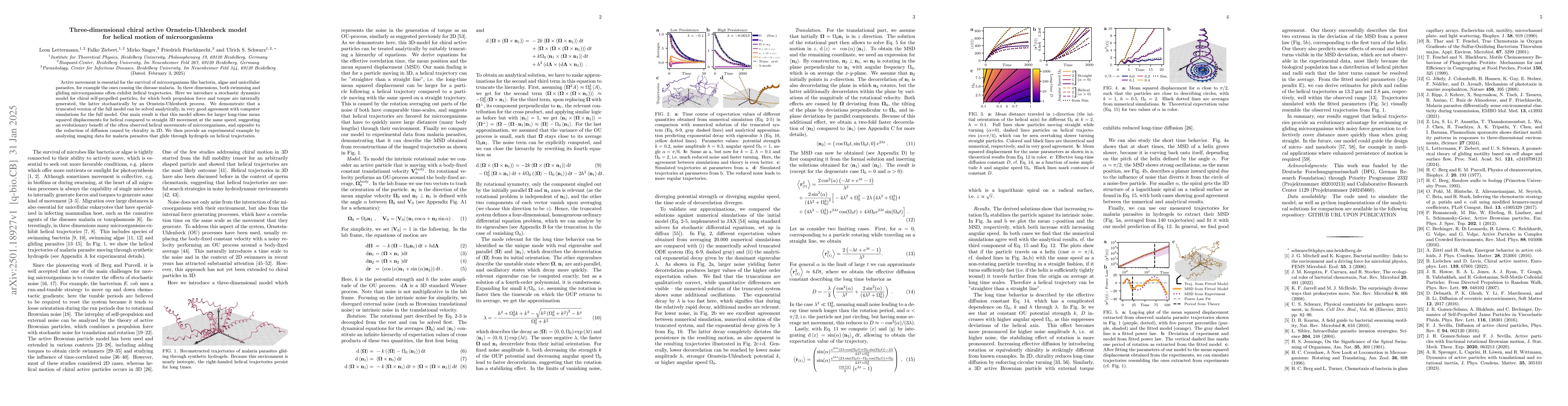 Thumbnail for Three-dimensional chiral active Ornstein-Uhlenbeck model for helical
  motion of microorganisms