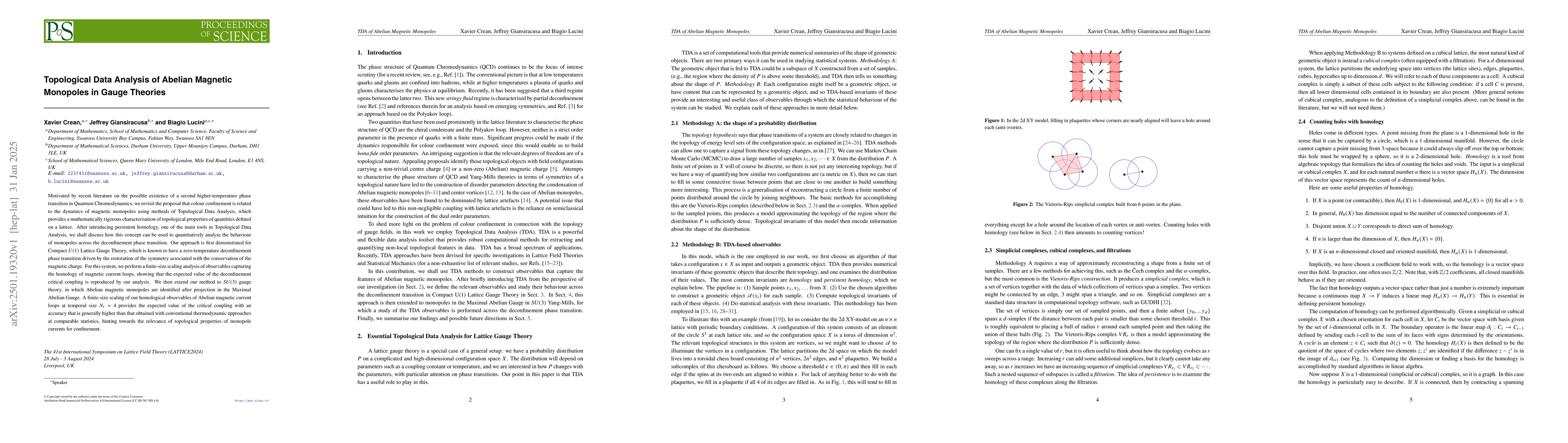 Thumbnail for Topological Data Analysis of Abelian Magnetic Monopoles in Gauge
  Theories